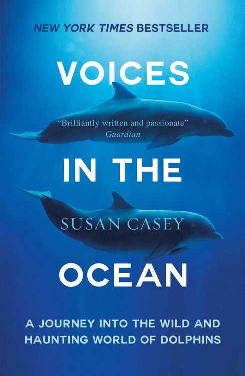 Produktbild: Voices in the Ocean