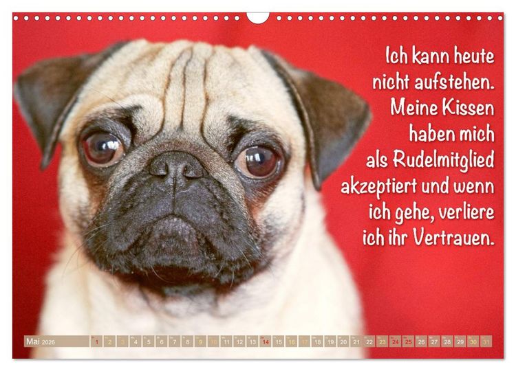Produktbild: Mopsala: Vom Gl&uuml;ck, ein Mops zu sein (Wandkalender 2026 DIN A3 quer), CALVENDO Monatskalender