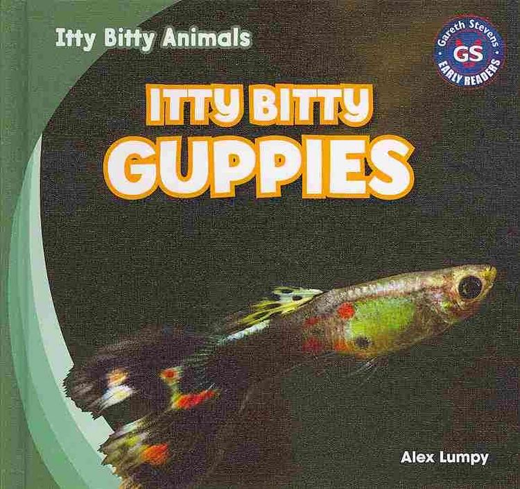 Produktbild: Itty Bitty Guppies
