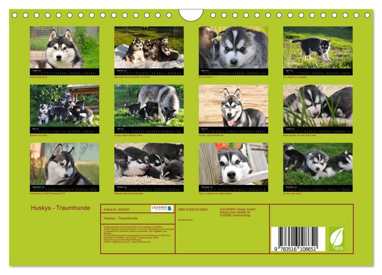 Produktbild: Huskys - Traumhunde (Wandkalender 2026 DIN A4 quer), CALVENDO Monatskalender