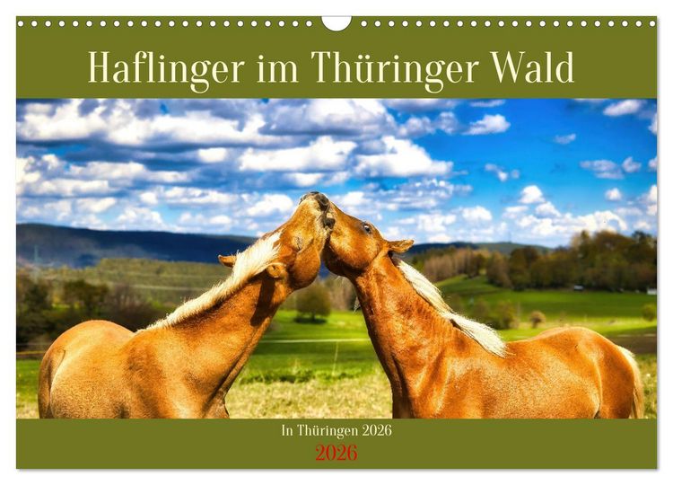 Produktbild: Haflinger im Th&uuml;ringer Wald (Wandkalender 2026 DIN A3 quer), CALVENDO Monatskalender