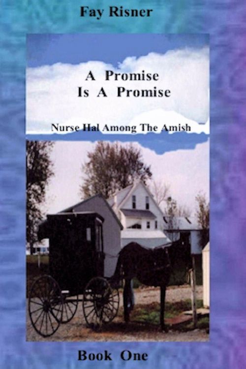 Produktbild: A Promise Is A Promise (Nurse Hal Among The Amish, #1)