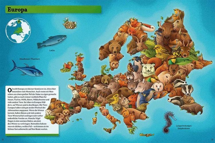 Produktbild: Animaps: Eine Reise ins Tierreich.