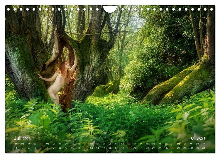 Produktbild: ZAUBERWALD Mystik der Natur (Wandkalender 2026 DIN A4 quer), CALVENDO Monatskalender