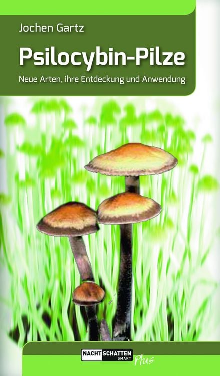 Produktbild: Psilocybin-Pilze