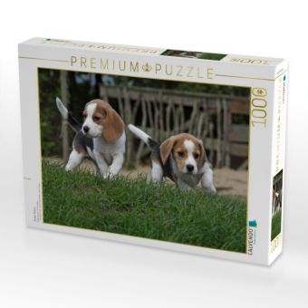 Produktbild: CALVENDO Puzzle Beagle-Welpen | 1000 Teile Lege-Gr&ouml;&szlig;e 64x48cm Foto-Puzzle f&uuml;r gl&uuml;ckliche Stunden