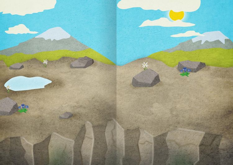 Produktbild: Mein Natur-Stickerbuch