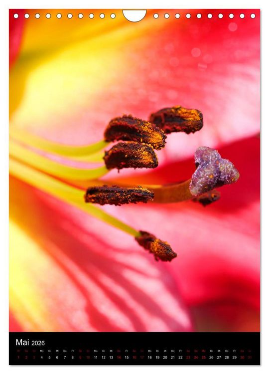 Produktbild: Ganz nah an der Natur (Wandkalender 2026 DIN A4 hoch), CALVENDO Monatskalender