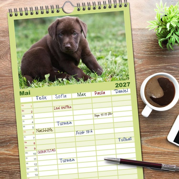 Produktbild: Familienplaner 2027 - Labrador Welpen mit 5 Spalten (Wandkalender, 21 x 45 cm) CALVENDO