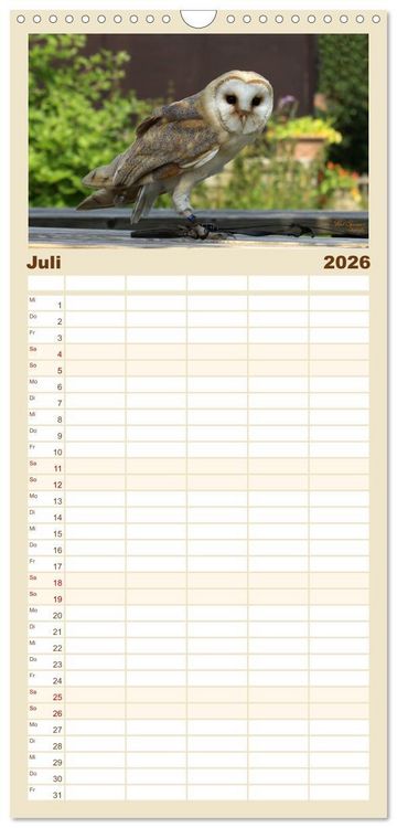 Produktbild: Familienplaner 2026 - Eulen. Gefiederte Weisheit mit 5 Spalten (Wandkalender, 21 x 45 cm) CALVENDO