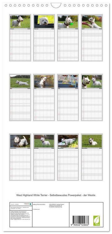 Produktbild: Familienplaner 2026 - West Highland White Terrier - Selbstbewustes Powerpaket - der Westie mit 5 Spalten (Wandkalender, 21 x 45 cm) CALVENDO