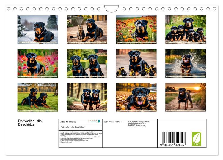 Produktbild: Rottweiler - die Besch&uuml;tzer (Wandkalender 2026 DIN A4 quer), CALVENDO Monatskalender