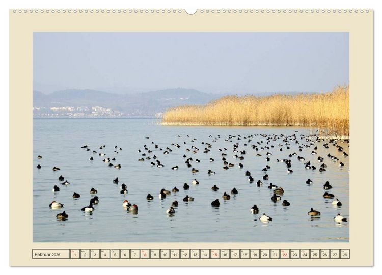 Produktbild: Impressionen vom sch&ouml;nen Bodensee (Wandkalender 2026 DIN A2 quer), CALVENDO Monatskalender