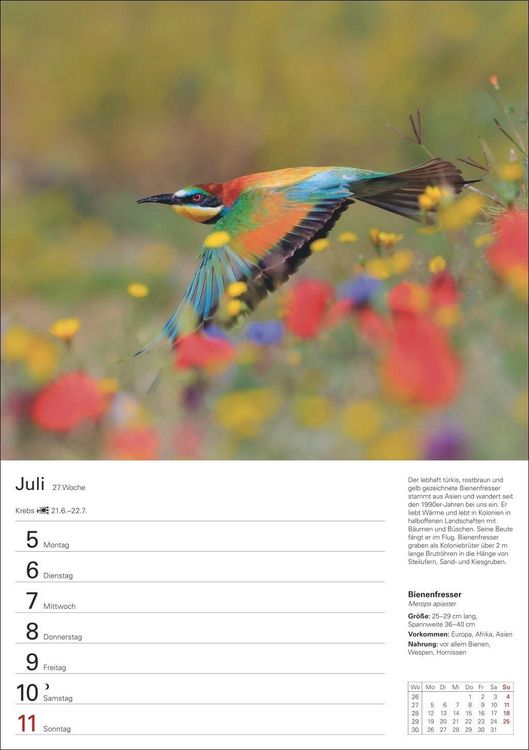 Produktbild: Heimische V&ouml;gel Wochenplaner 2027 - 53 faszinierende Fotografien