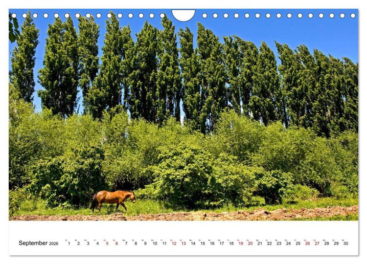 Produktbild: Faszinierendes Patagonien (Wandkalender 2026 DIN A4 quer), CALVENDO Monatskalender