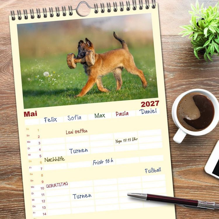 Produktbild: Familienplaner 2027 - Traumhund Malinois mit 5 Spalten (Wandkalender, 21 x 45 cm) CALVENDO