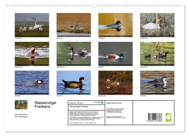 Produktbild: Wasserv&ouml;gel Frankens (hochwertiger Premium Wandkalender 2026 DIN A2 quer), Kunstdruck in Hochglanz