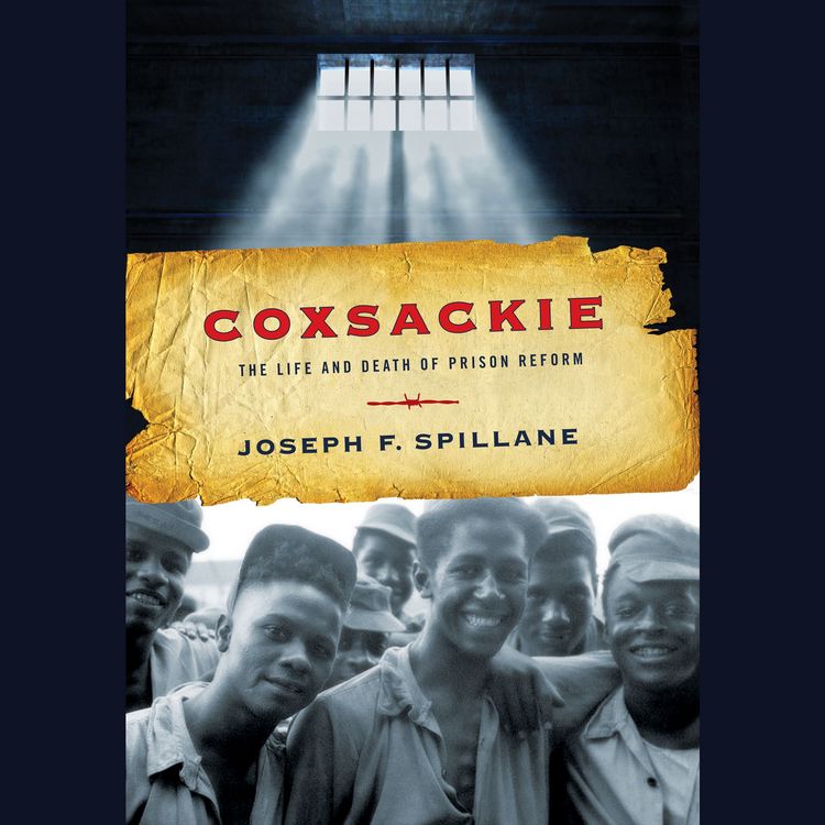 Produktbild: Coxsackie