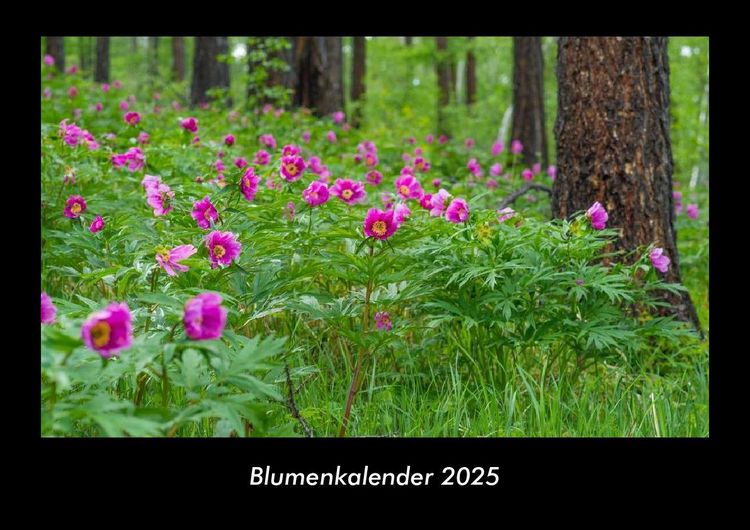 Produktbild: Blumenkalender 2025 Fotokalender DIN A3