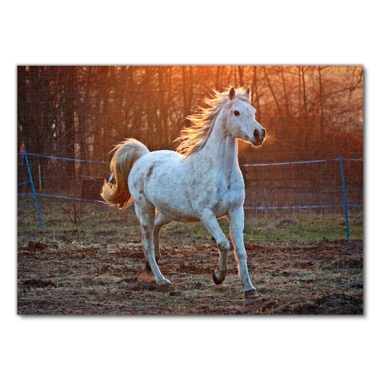 Produktbild: Lais Puzzle Thoroughbred Horse 500 Teile