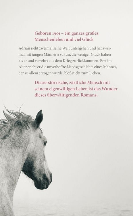 Produktbild: Im ersten Licht
