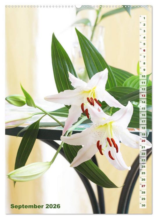 Produktbild: Lilien-Eleganz (hochwertiger Premium Wandkalender 2026 DIN A2 hoch), Kunstdruck in Hochglanz
