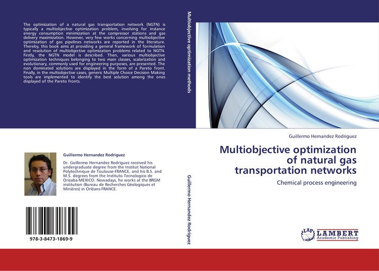 Produktbild: Multiobjective optimization of natural gas transportation networks