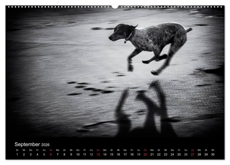Produktbild: Das Licht in Schwarz und Wei&szlig; (Wandkalender 2026 DIN A2 quer), CALVENDO Monatskalender