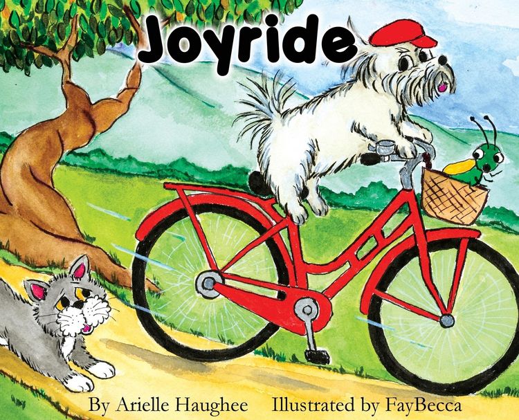 Produktbild: Joyride