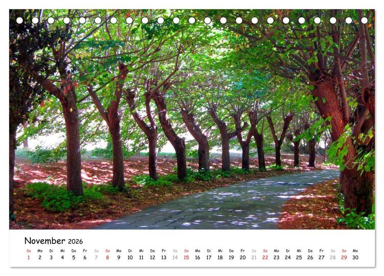 Produktbild: Franziskusweg - Camino di Assisi (Tischkalender 2026 DIN A5 quer), CALVENDO Monatskalender
