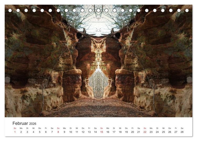 Produktbild: Spiegelwelten - Natur anders sehen (Tischkalender 2026 DIN A5 quer), CALVENDO Monatskalender