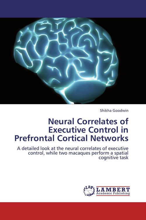 Produktbild: Neural Correlates of Executive Control in Prefrontal Cortical Networks