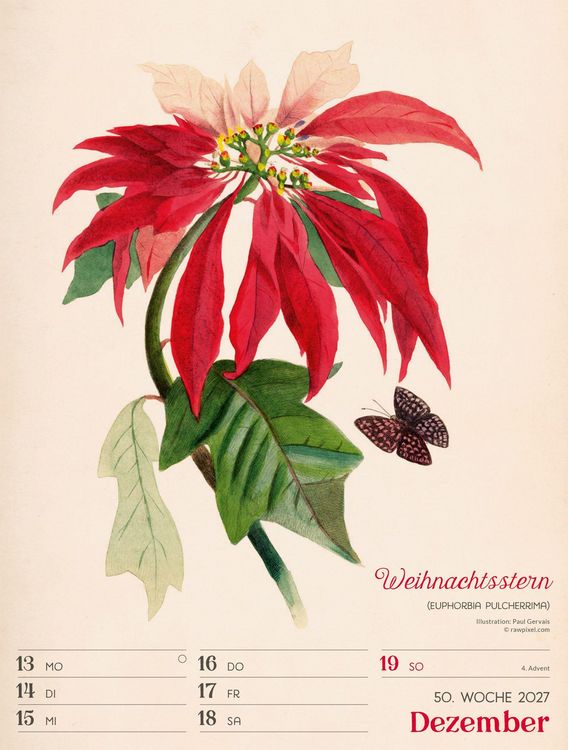 Produktbild: Ars Floralis Wochenplaner Kalender 2027