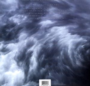 Produktbild: Meanwhile (Clear Vinyl)