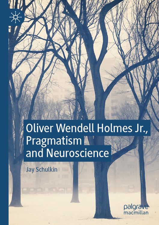 Produktbild: Oliver Wendell Holmes Jr., Pragmatism and Neuroscience