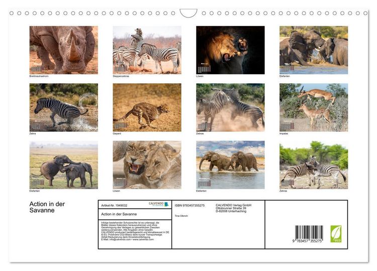 Produktbild: Action in der Savanne (Wandkalender 2026 DIN A3 quer), CALVENDO Monatskalender