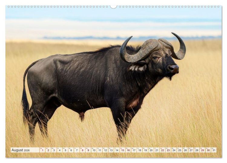 Produktbild: TIERWELT AFRIKA Faszination Wildnis (hochwertiger Premium Wandkalender 2026 DIN A2 quer), Kunstdruck in Hochglanz