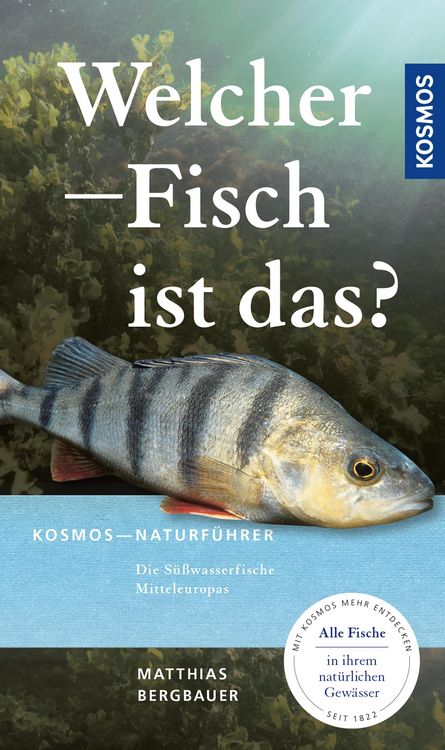 Produktbild: Welcher Fisch ist das?