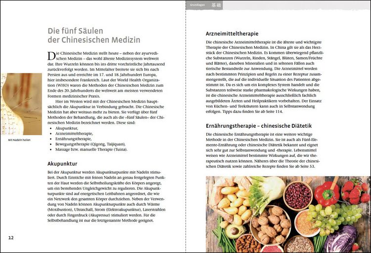 Produktbild: Grippe und Infekte (Yang Sheng 4)