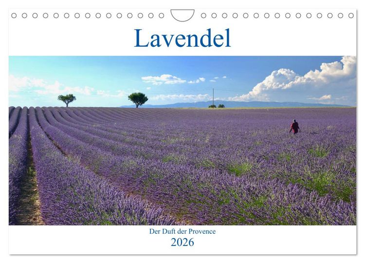 Produktbild: Lavendel. Der Duft der Provence (Wandkalender 2026 DIN A4 quer), CALVENDO Monatskalender