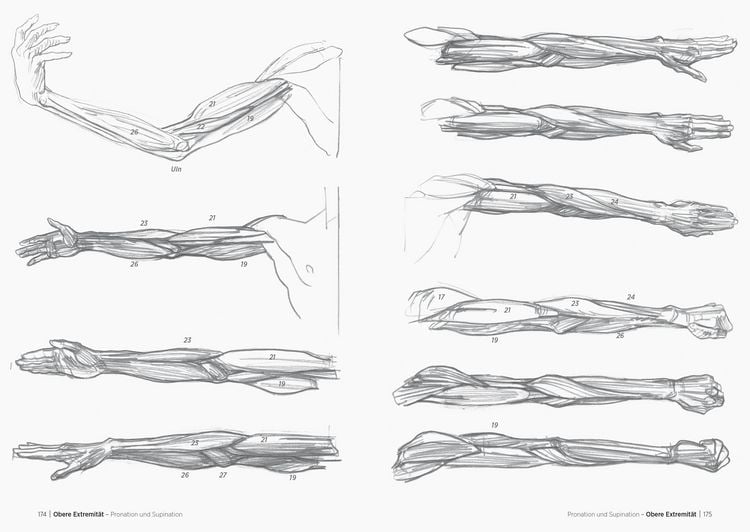 Produktbild: Morpho
