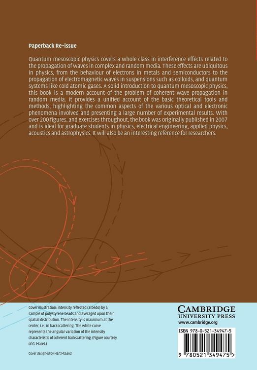 Produktbild: Mesoscopic Physics of Electrons and Photons