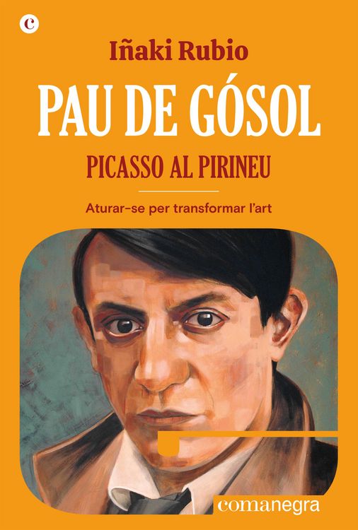 Produktbild: Pau de G&oacute;sol. Picasso al Pirineu