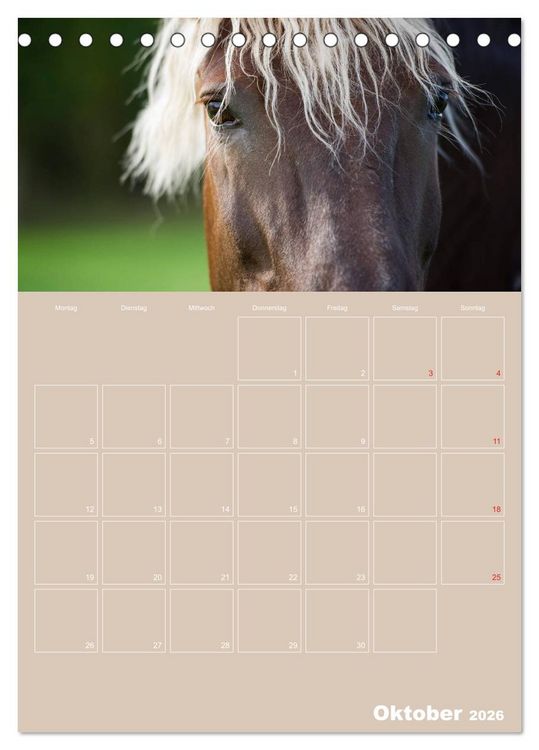 Produktbild: Pferde / Planer (Tischkalender 2026 DIN A5 hoch), CALVENDO Monatskalender