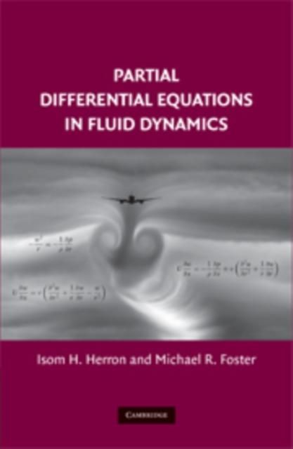 Produktbild: Partial Differential Equations in Fluid Dynamics