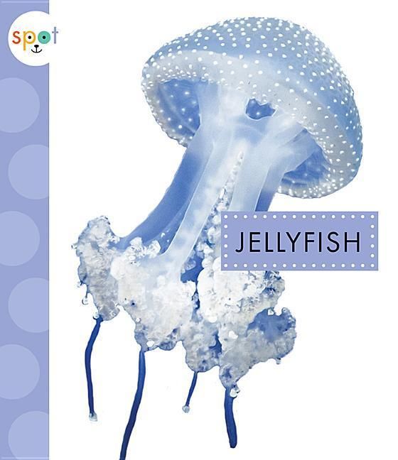 Produktbild: Jellyfish