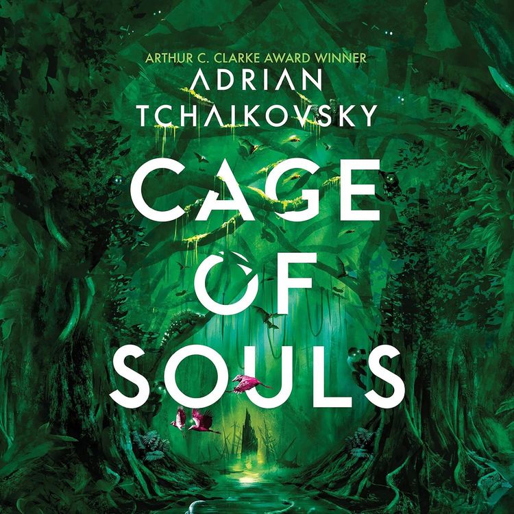 Produktbild: Cage of Souls