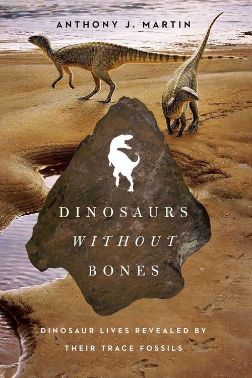 Produktbild: Dinosaurs Without Bones