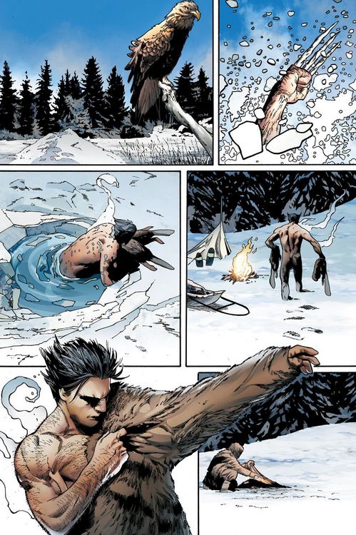 Produktbild: Predator vs. Wolverine: Ewige Jagd