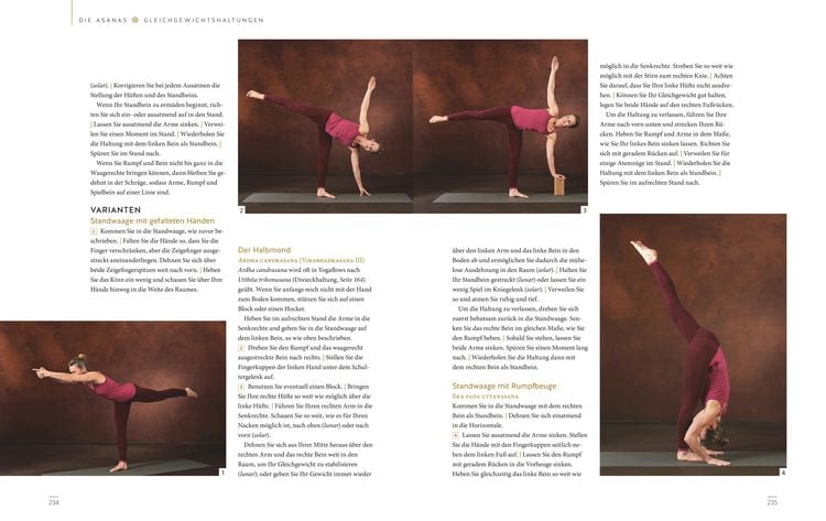 Produktbild: Das gro&szlig;e Buch vom Yoga